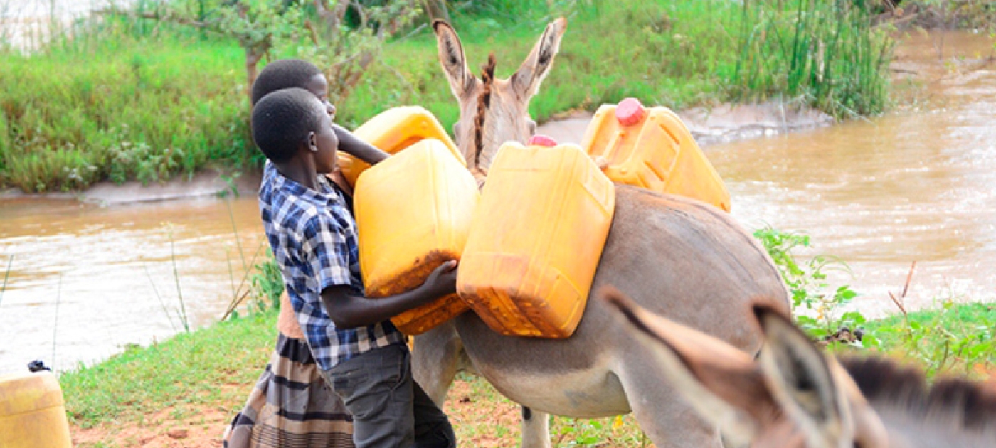 Tapping the Tana