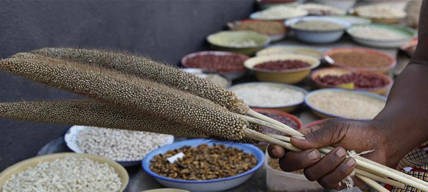 Time to embed biodiversity into the 2030 Agenda