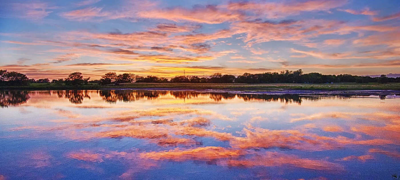 The Future of Wetlands