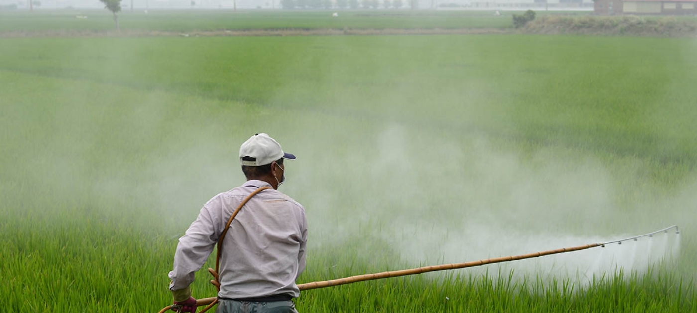 Top of the POPs: The world's most dangerous pollutants