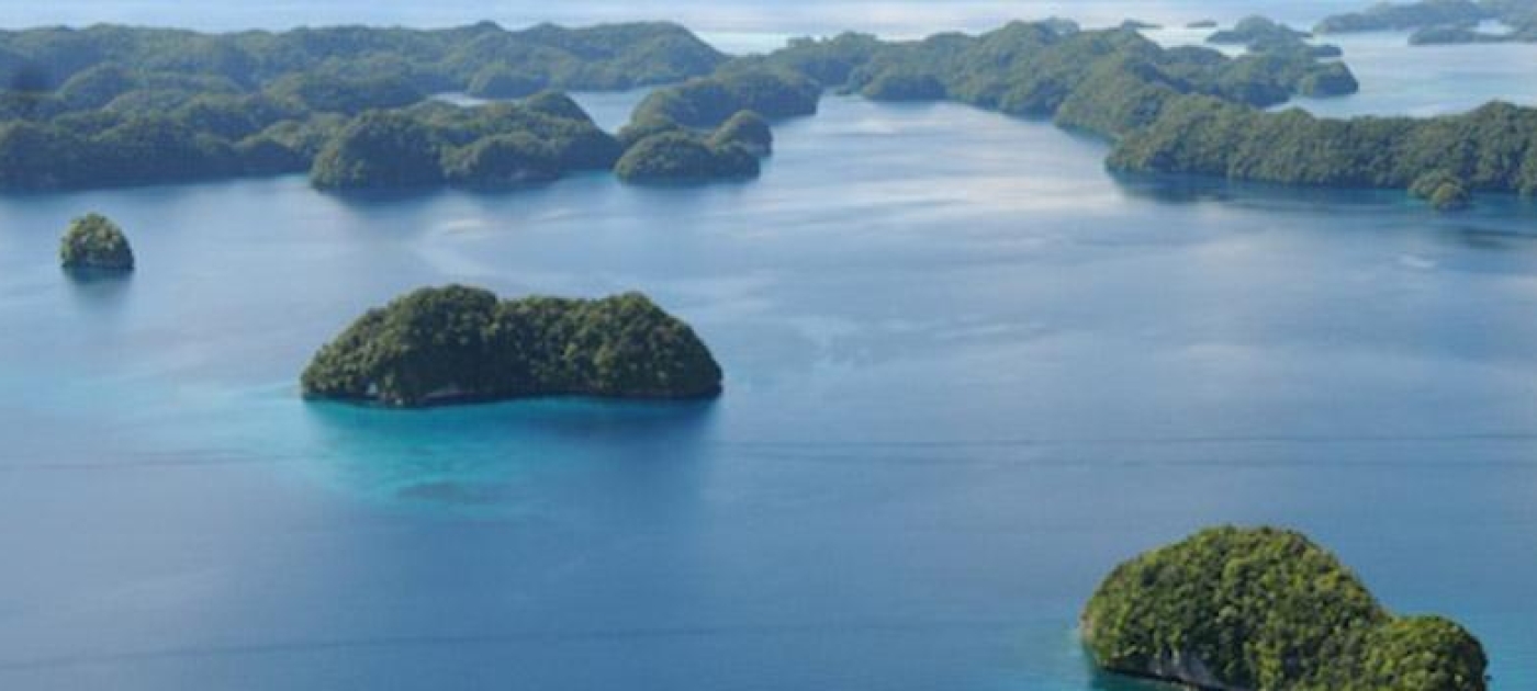 The marine environment is an essential component of the global life-support system