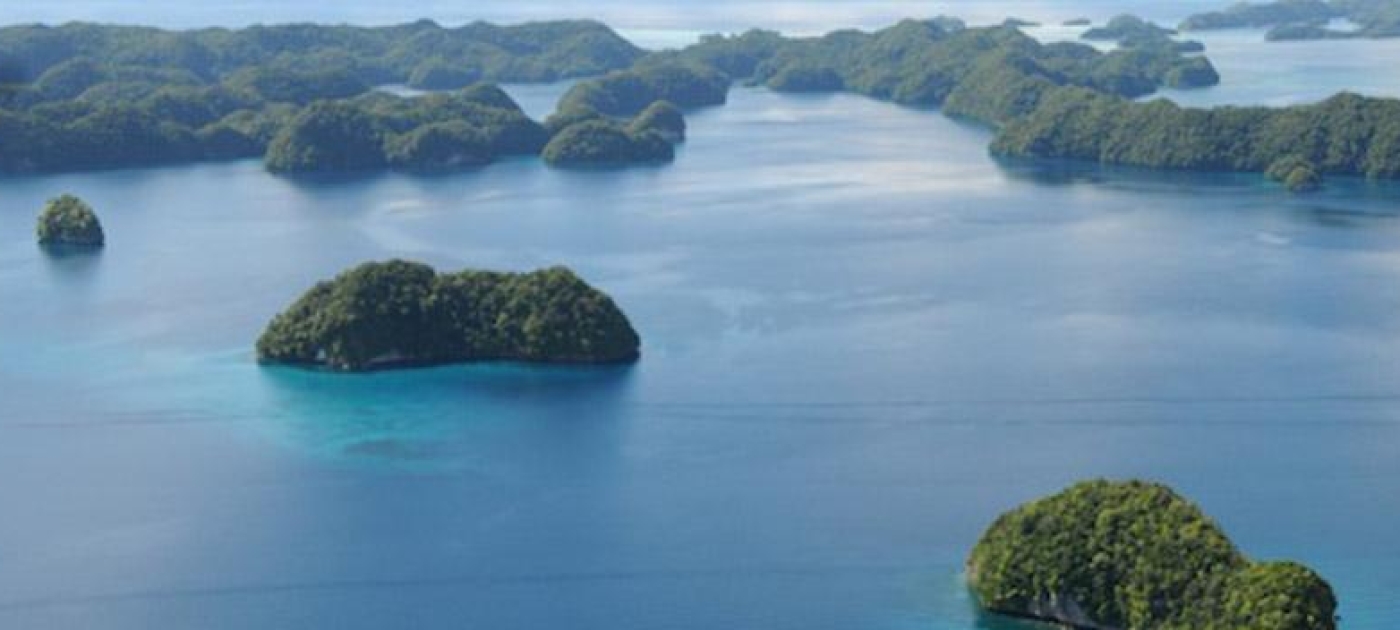 The marine environment is an essential component of the global life-support system