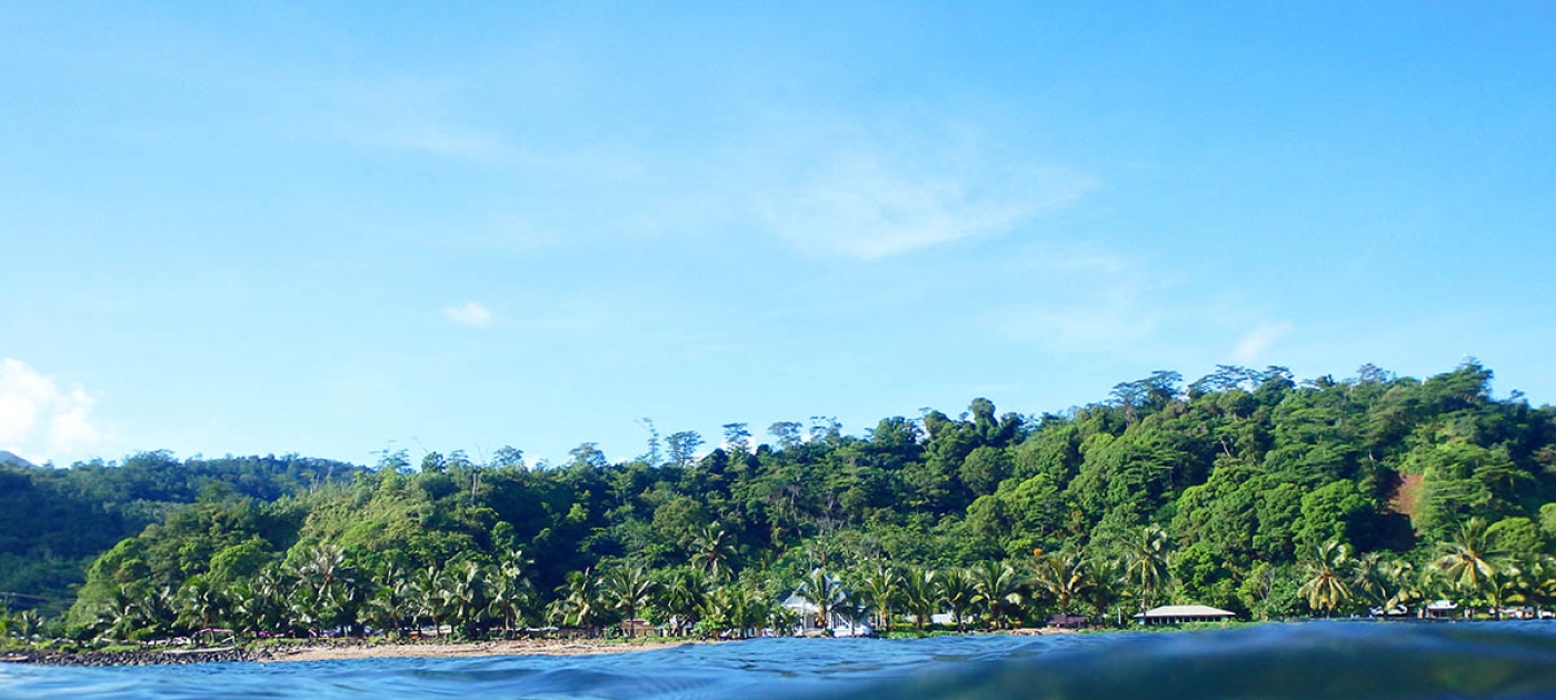 The resource challenge: Trouble on paradise island