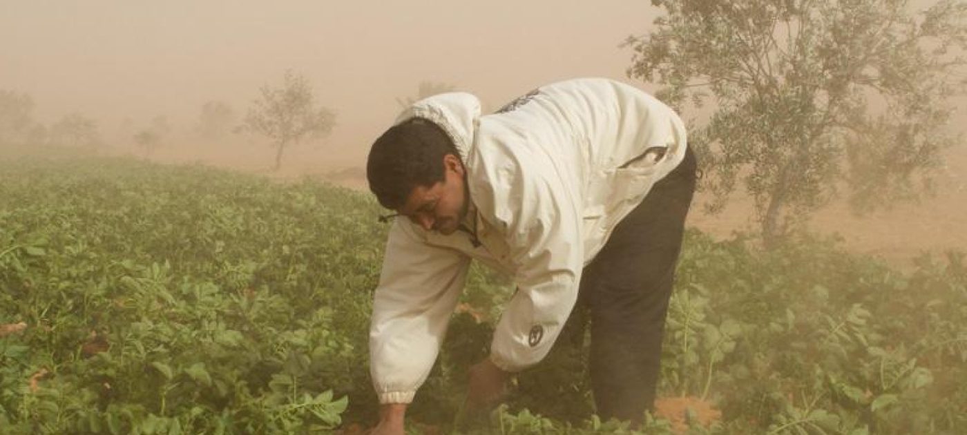 More action needed on sand and dust storms