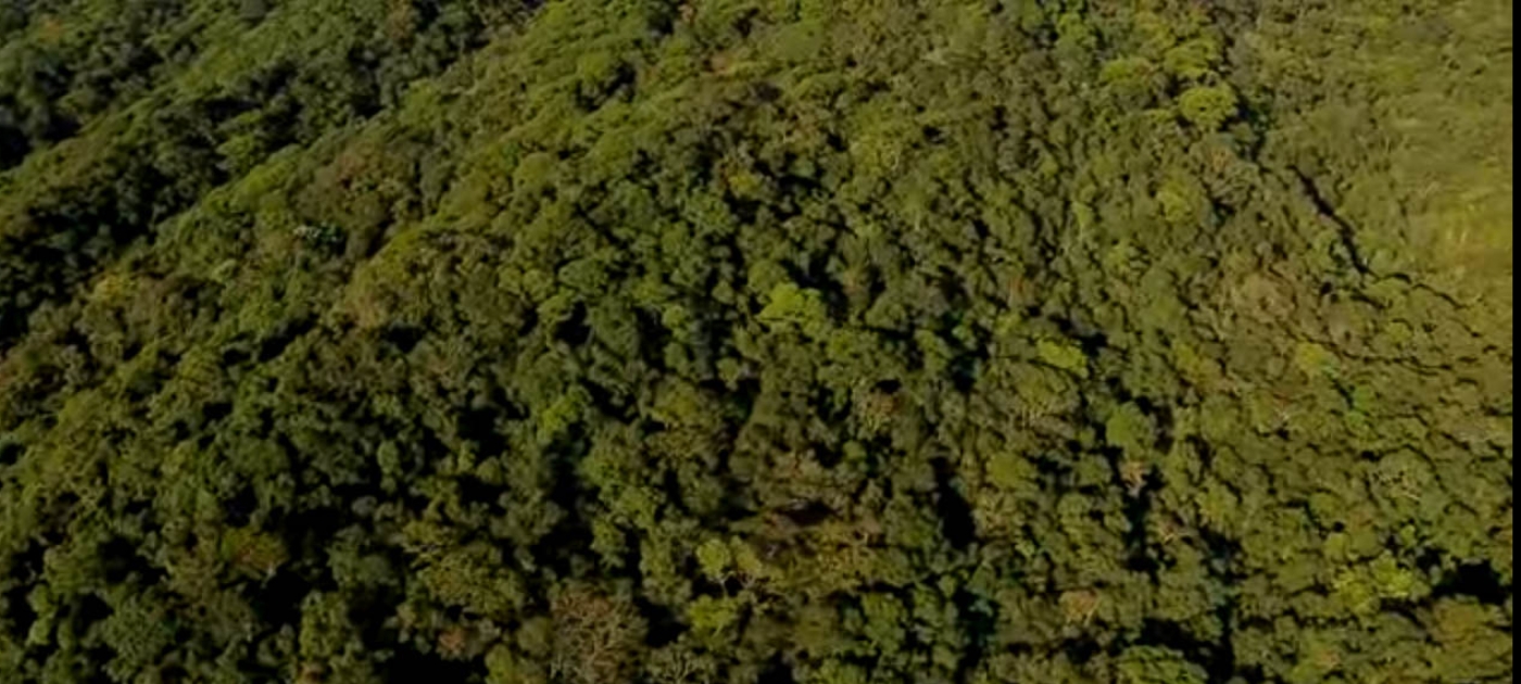 Integrated Landscape Management and the SDGs | Landscapes for People, Food, and Nature