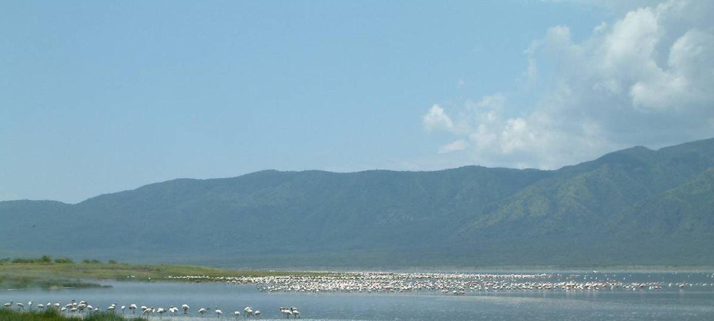 How Kenya’s Lake Bogoria is feeding the global biotech industry