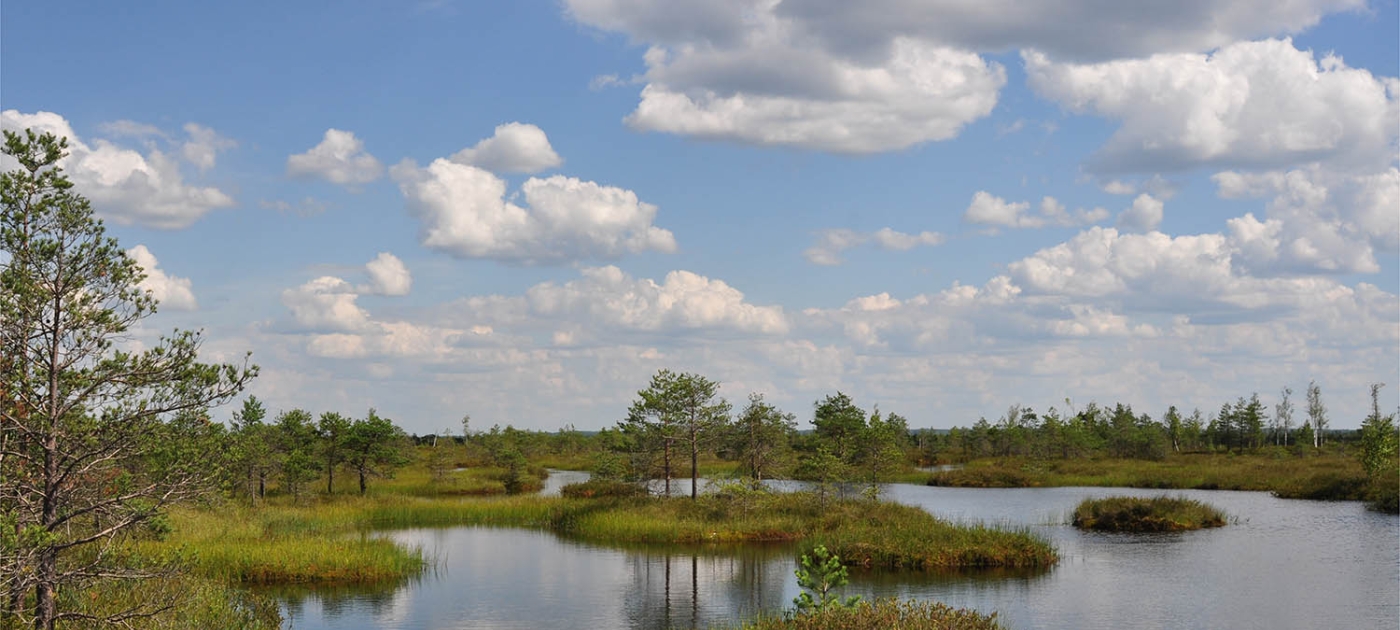 Smoke on water – countering global threats from peatland loss and degradation Hans Joosten