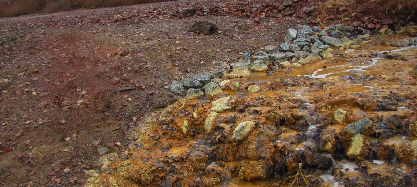Free online course: Global framework for a pollution-free planet