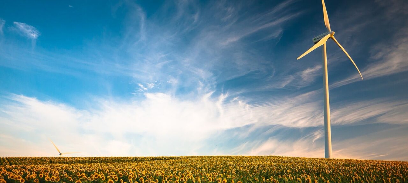 Annual ASEAN green investment needs to grow 400% to guard against environmental risks