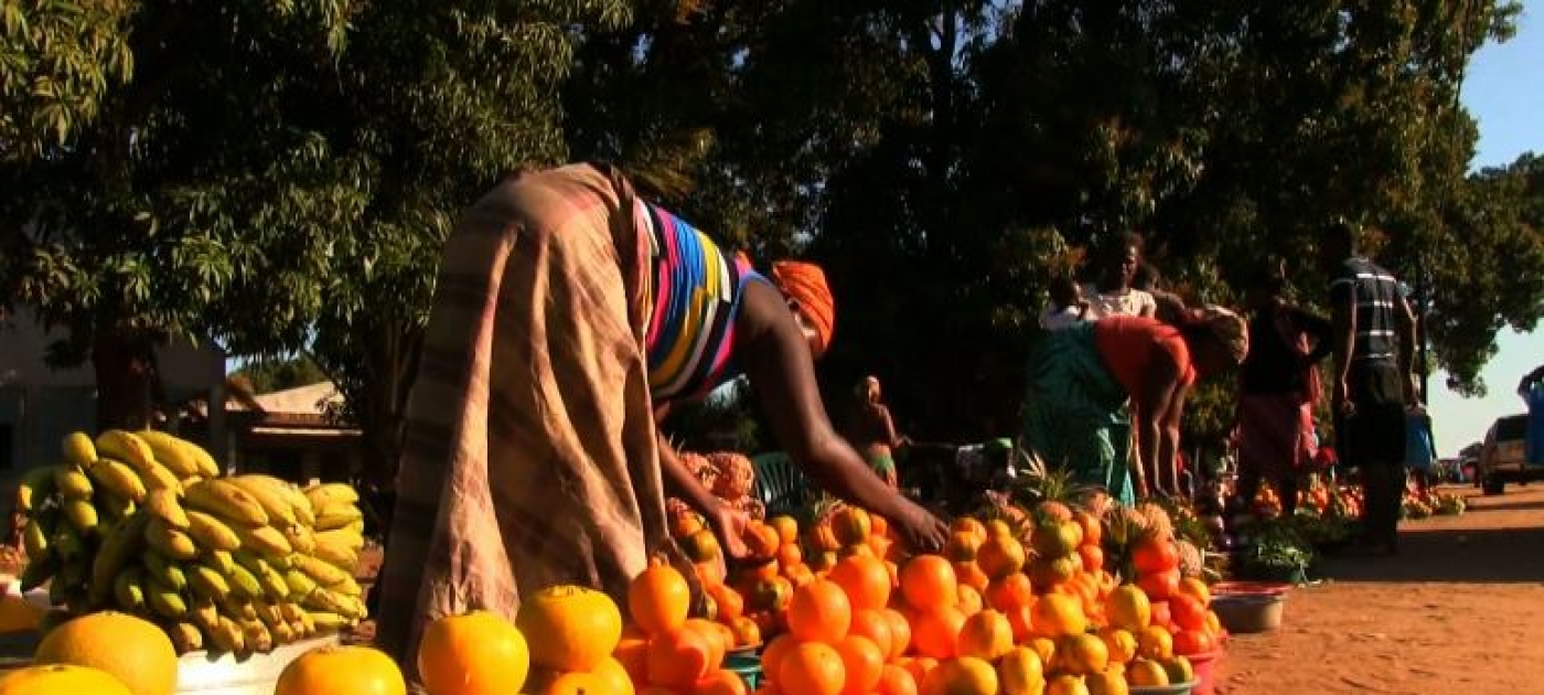 Using an integrated approach to eradicate Poverty in Africa: Case From Mozambique