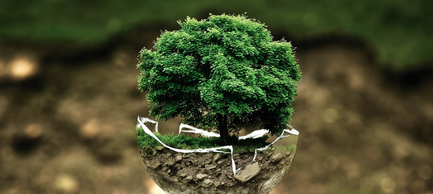 Environmental peacebuilding researchers receive prestigious Al-Moumin Award