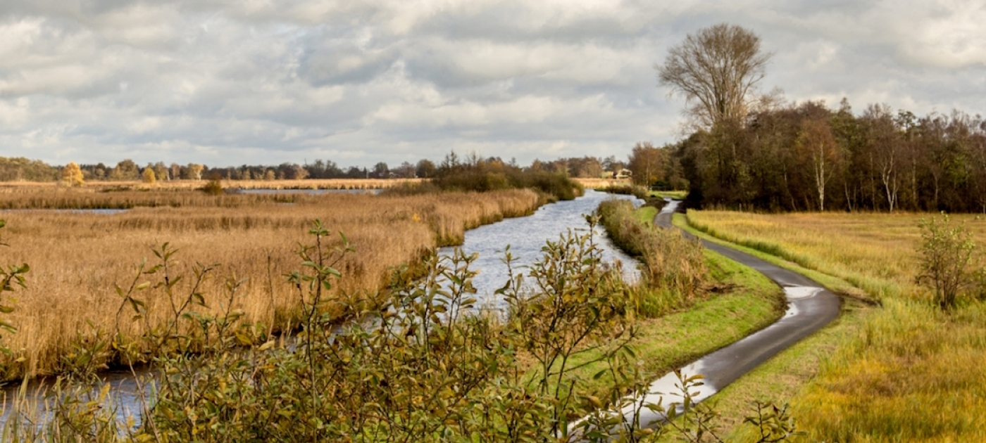 Towards natural capital accounting in the Netherlands Leen Euser