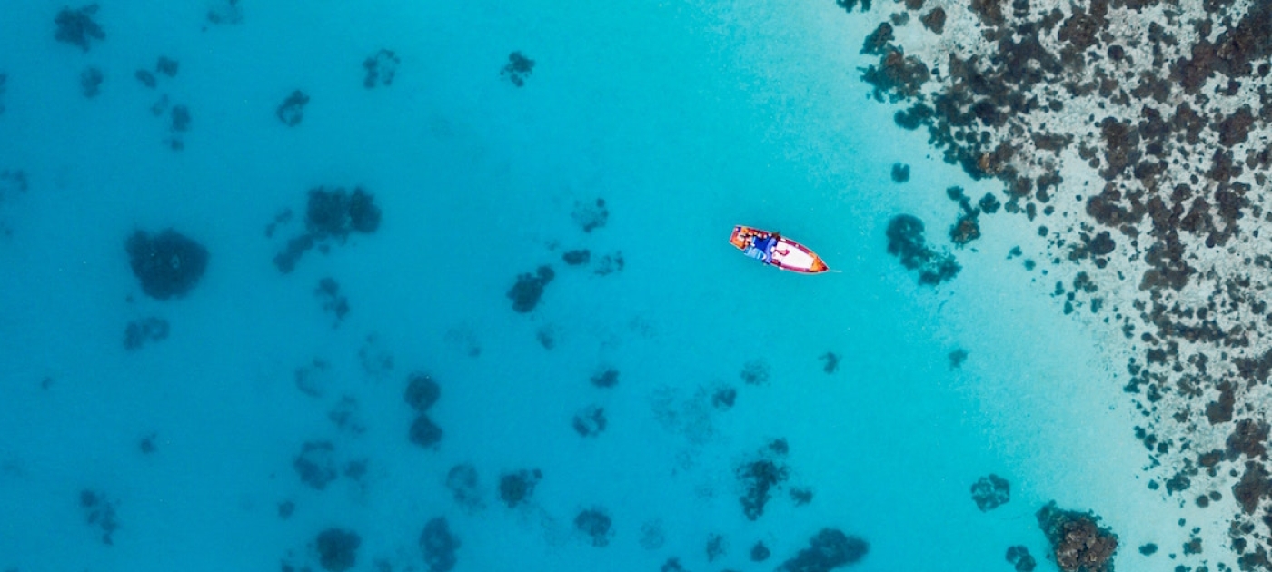 Coral reefs: We continue to take more than we give Unsplash