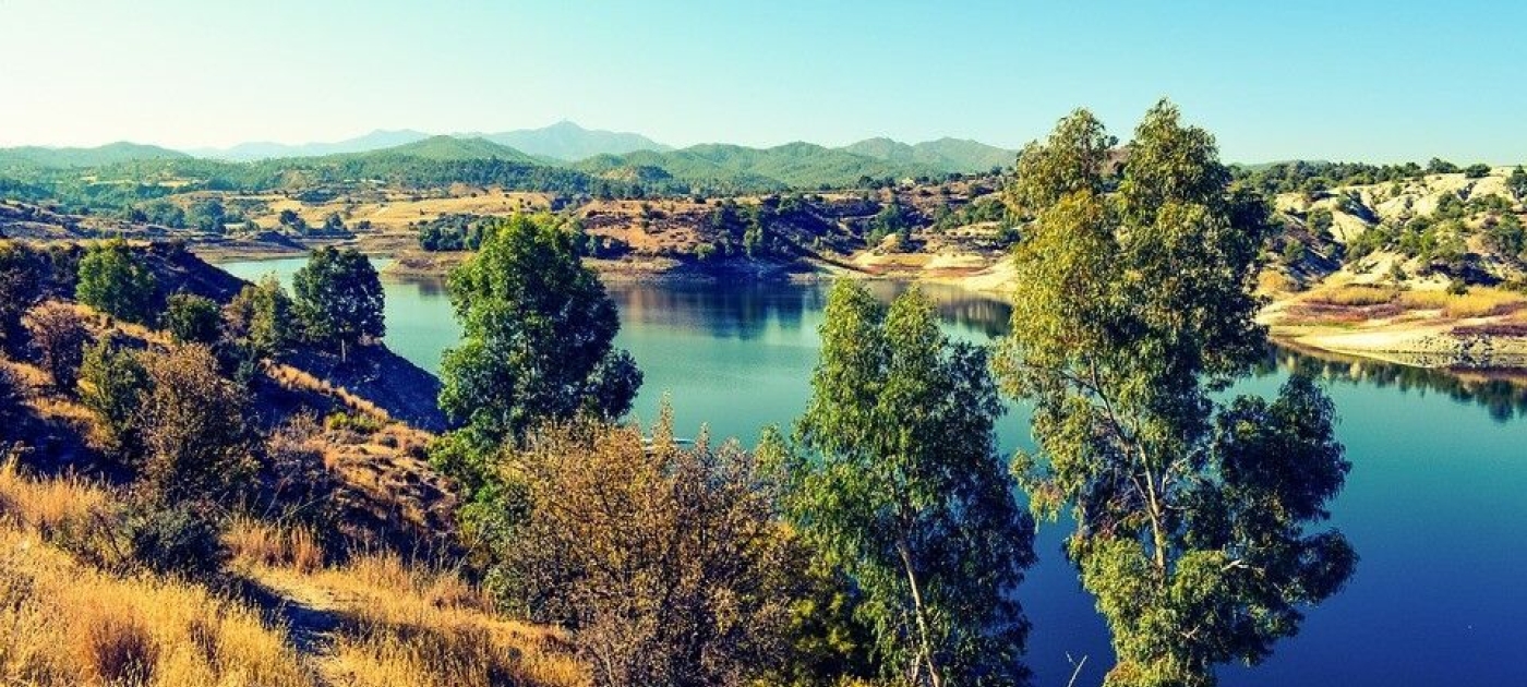 Wastewater management can assist afforestation
