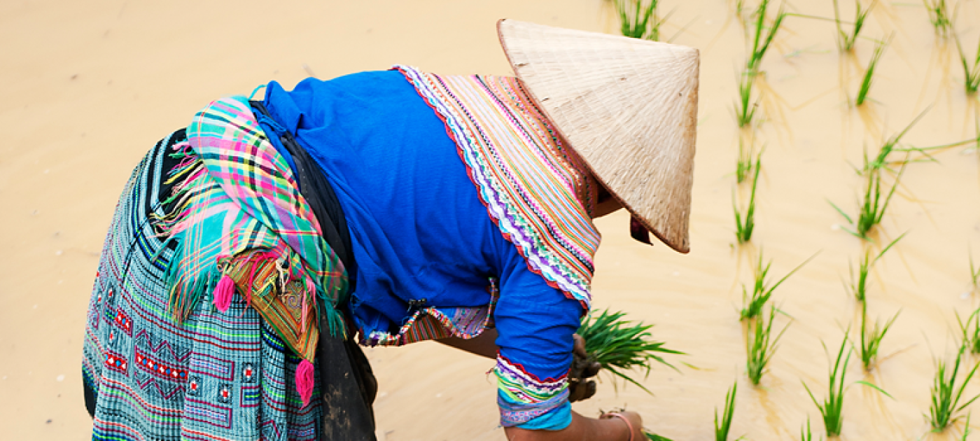 Putting women at the heart of national biodiversity action plans
