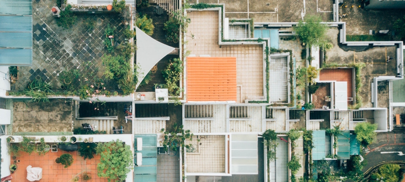 How rooftop trees can make cities more resilient Unsplash