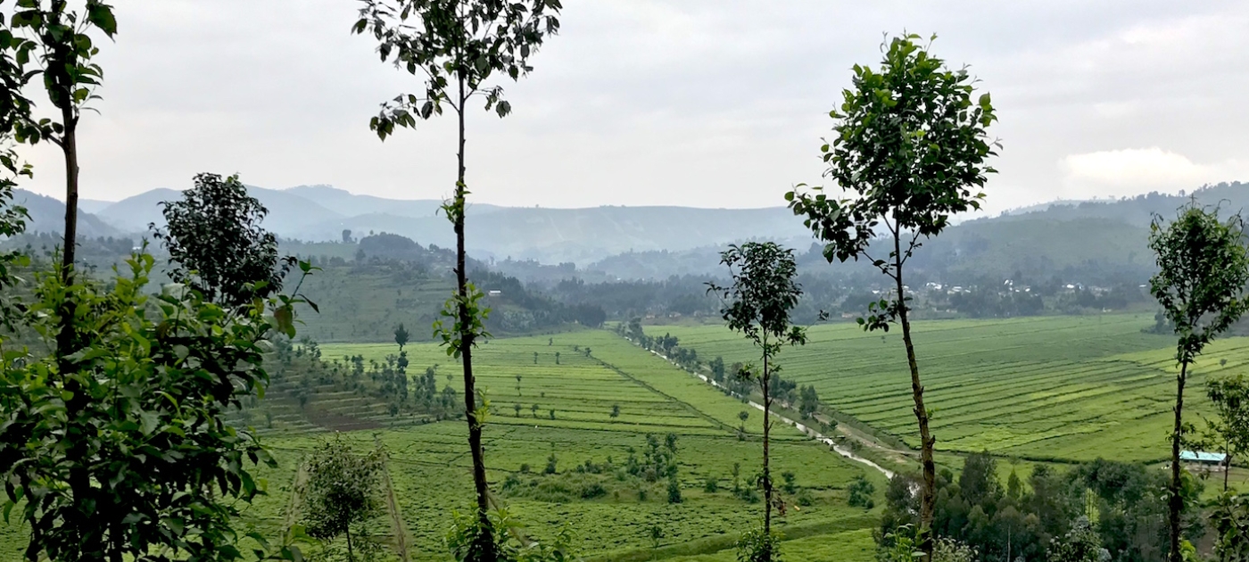 Guarding against disaster: Rwandan farmers adapt to the changing climate Hannah McNeish/UN Environment