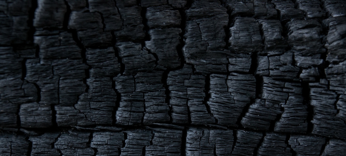Somalia calls for international cooperation to stop illegal charcoal trade