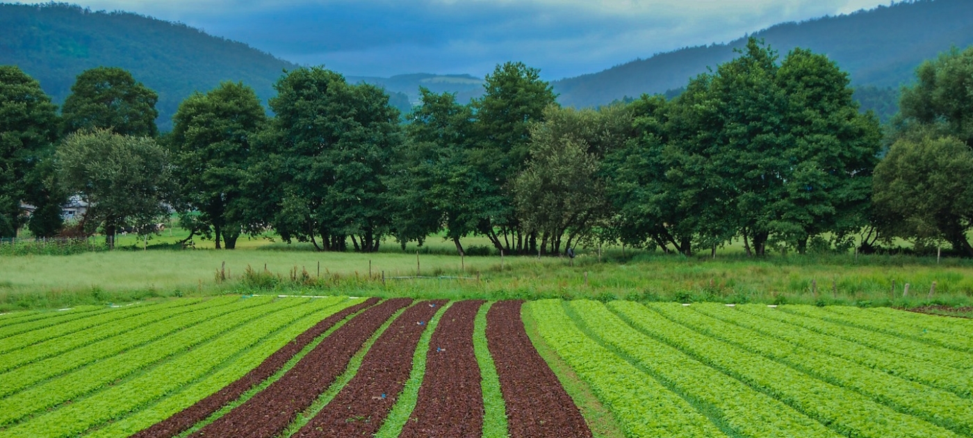 Healthy soils, healthy future