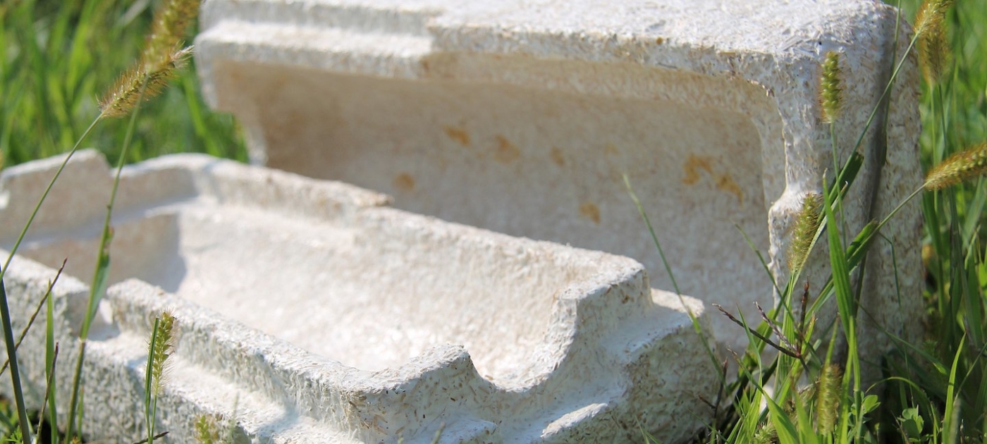 From fungus foam to pineapple pleather: 5 plastic alternatives to watch