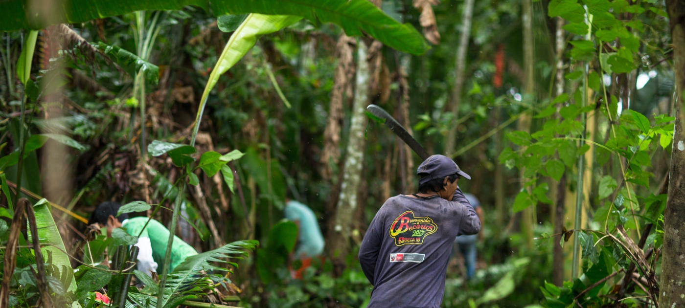 Forests provide a critical short-term solution to climate change Marlon del Aguila Guerrero/CIFOR