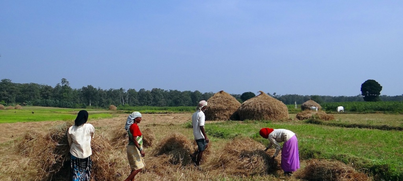 Andhra Pradesh to become India's first Zero Budget Natural Farming state