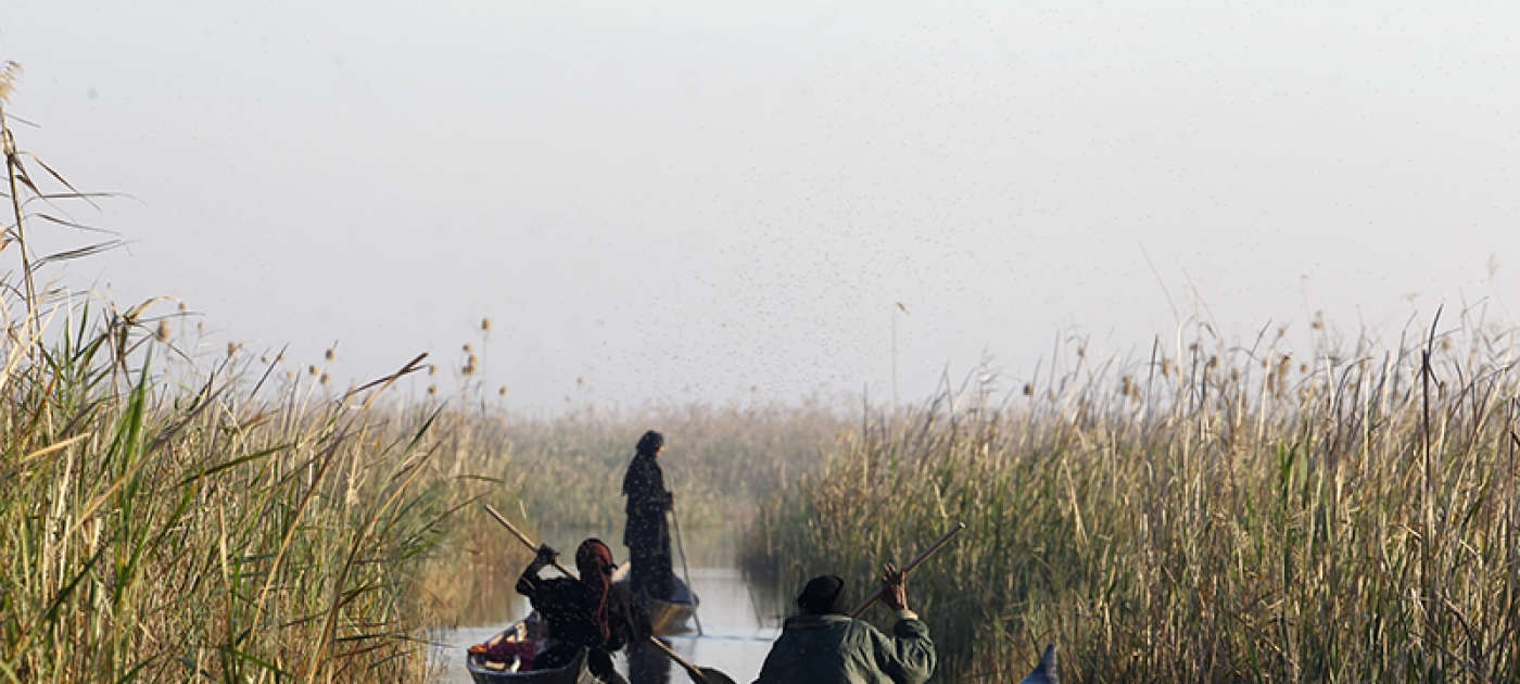 Salvaging Iraq’s remaining wilderness