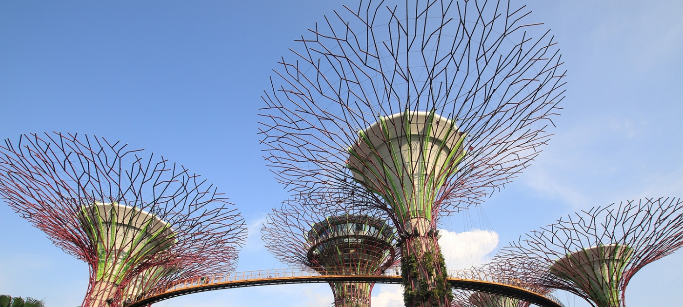 La travesía de Singapur para convertirse en un modelo de biodiversidad