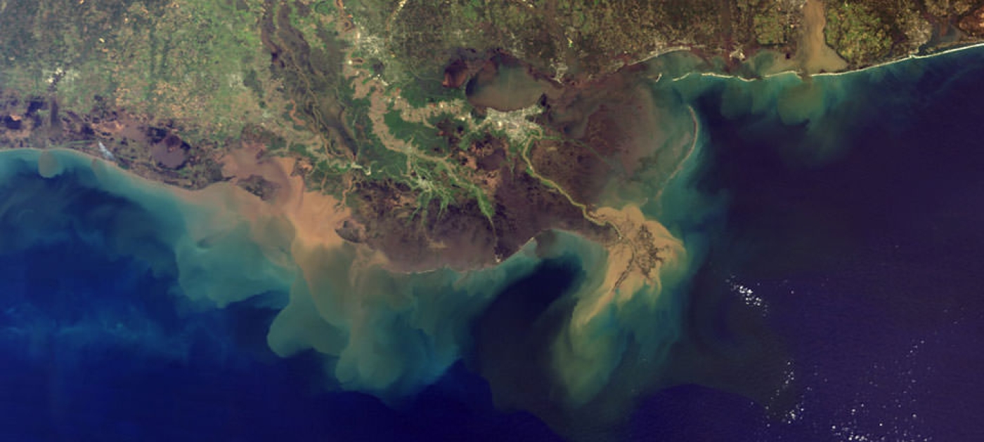 Toxic algal bloom continues to suffocate Florida’s Gulf Coast