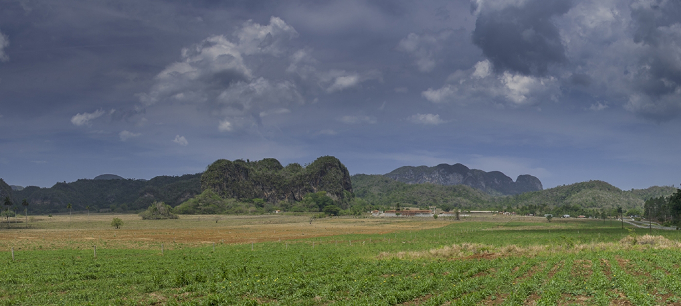 The road to restoration: Cuba’s modern farming revolution Jean-Marc Astesana