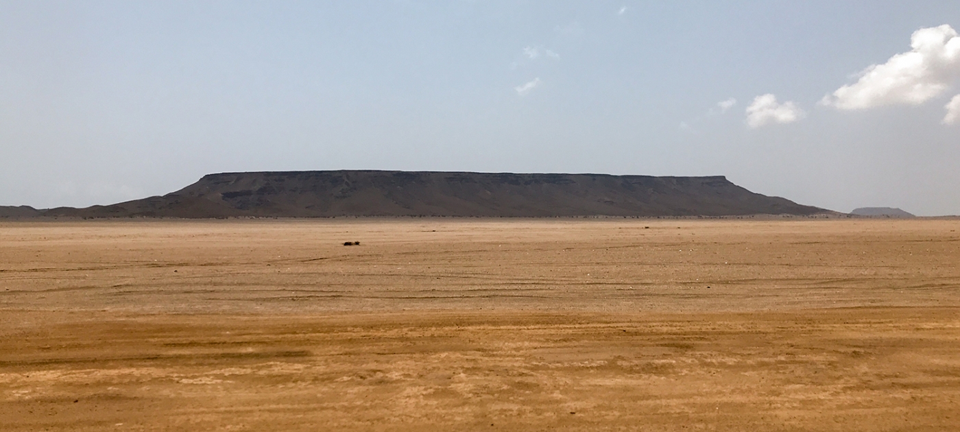 Oasis dreaming: regreening the Djiboutian Desert UN Environment / Hannah McNeish
