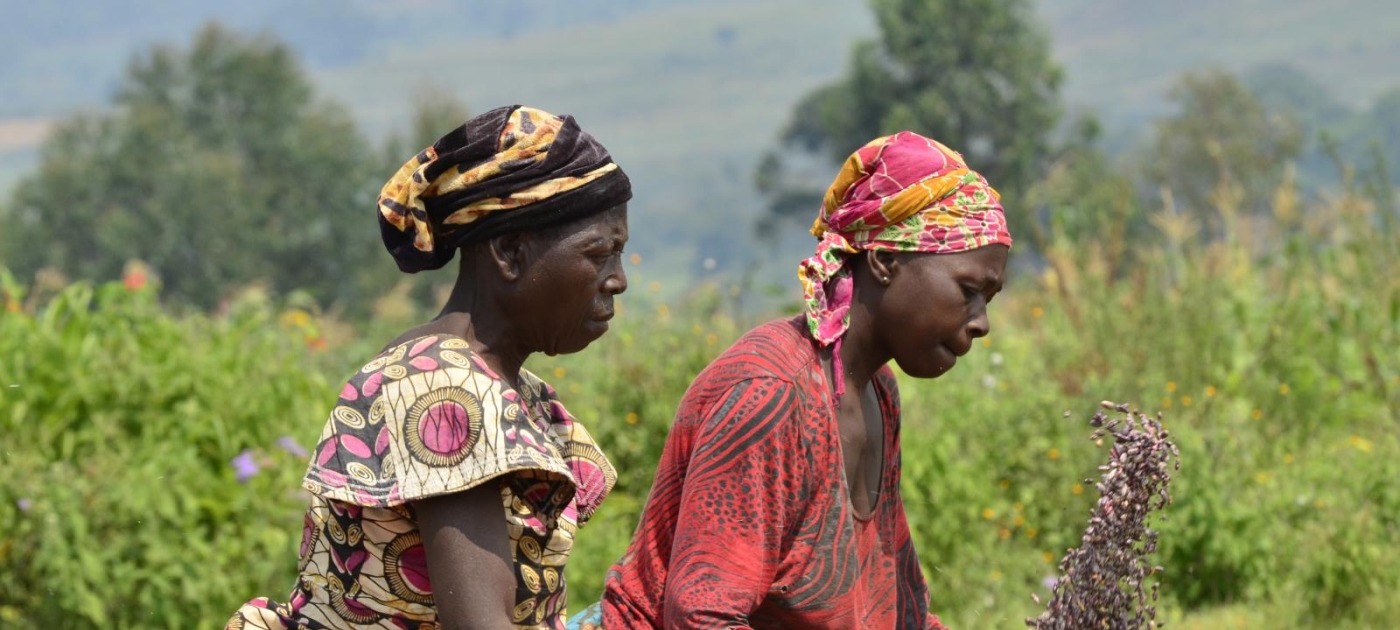 UN Environment wins prestigious award for new work on food, agriculture and biodiversity Photo by Neil Palmer/CIAT
