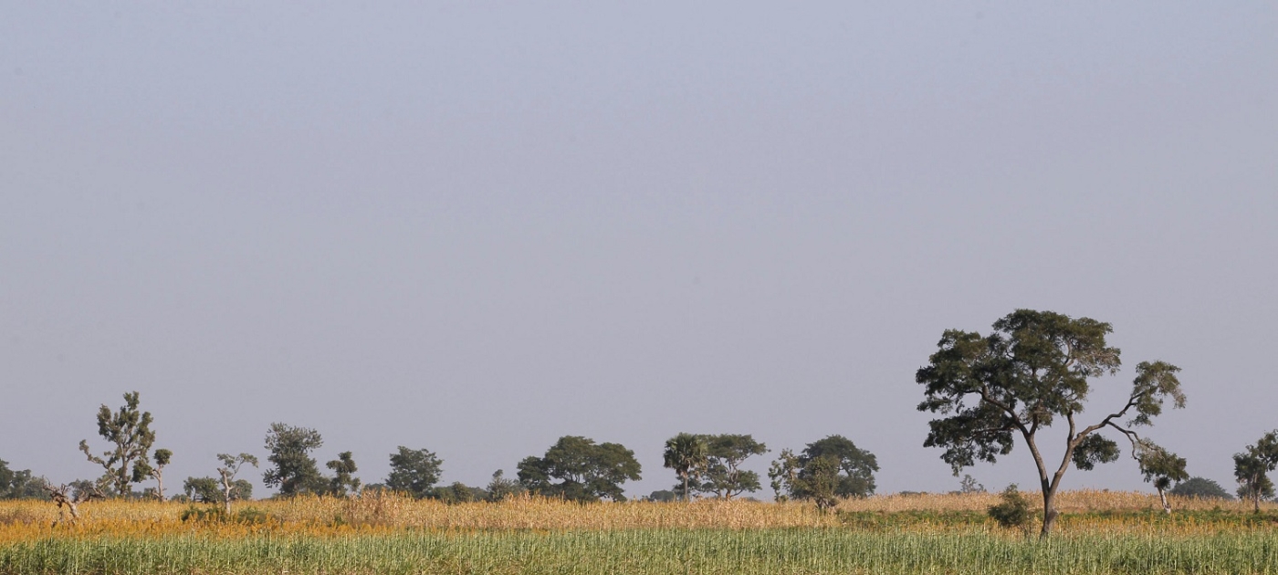 Environmental cooperation as a pathway to resolve Nigeria’s deadly farmer-herder conflicts REUTERS/Akintunde Akinleye