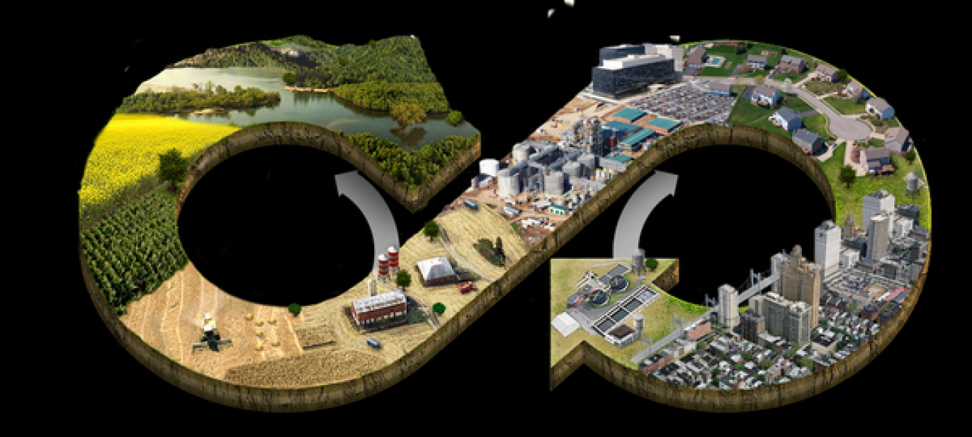 Circular economy indicators: what do they measure?