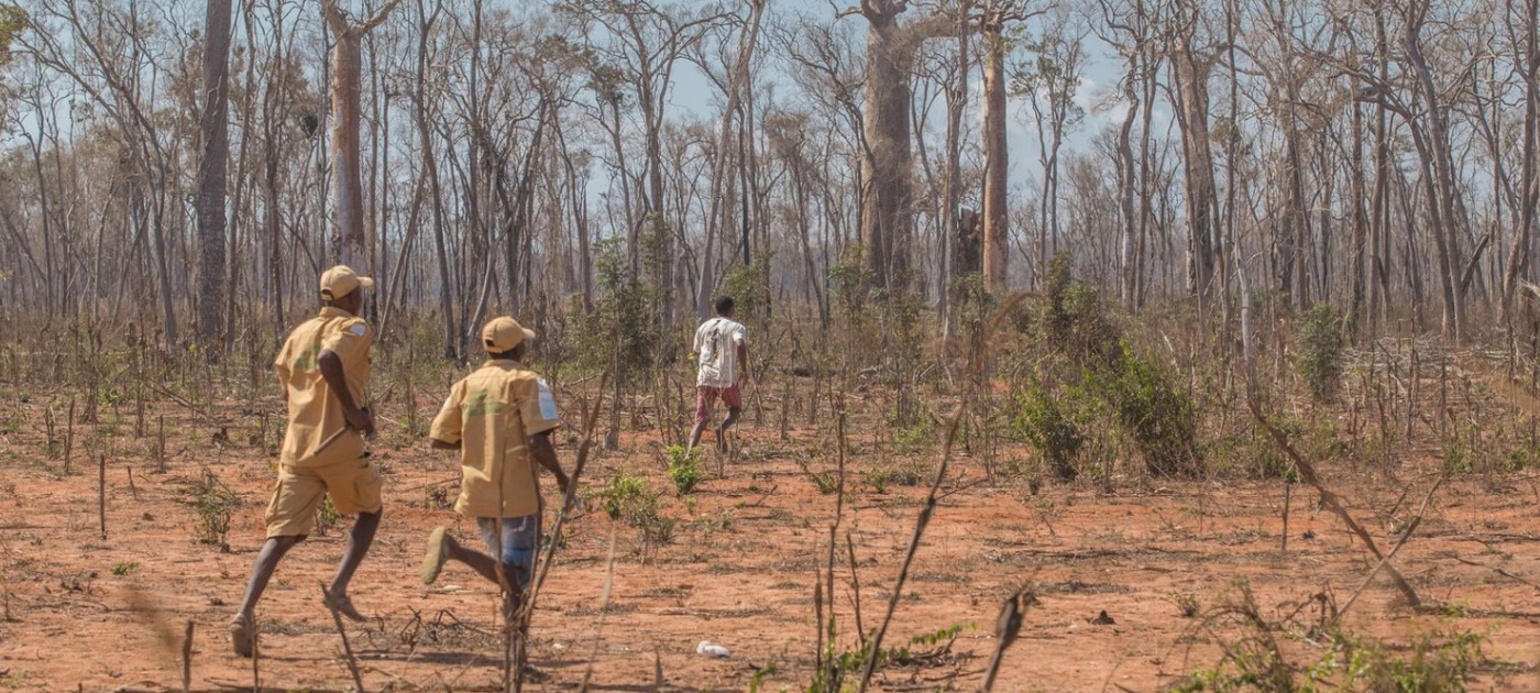 Secrets of the baobabs: lifeline for a forest on the edge ONU Medio Ambiente / Lisa Murray