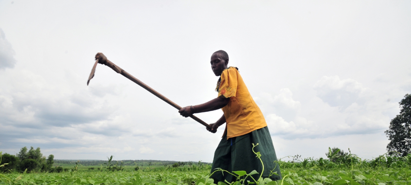 What’s the big deal about dirt? Photo by Neil Palmer/CIAT