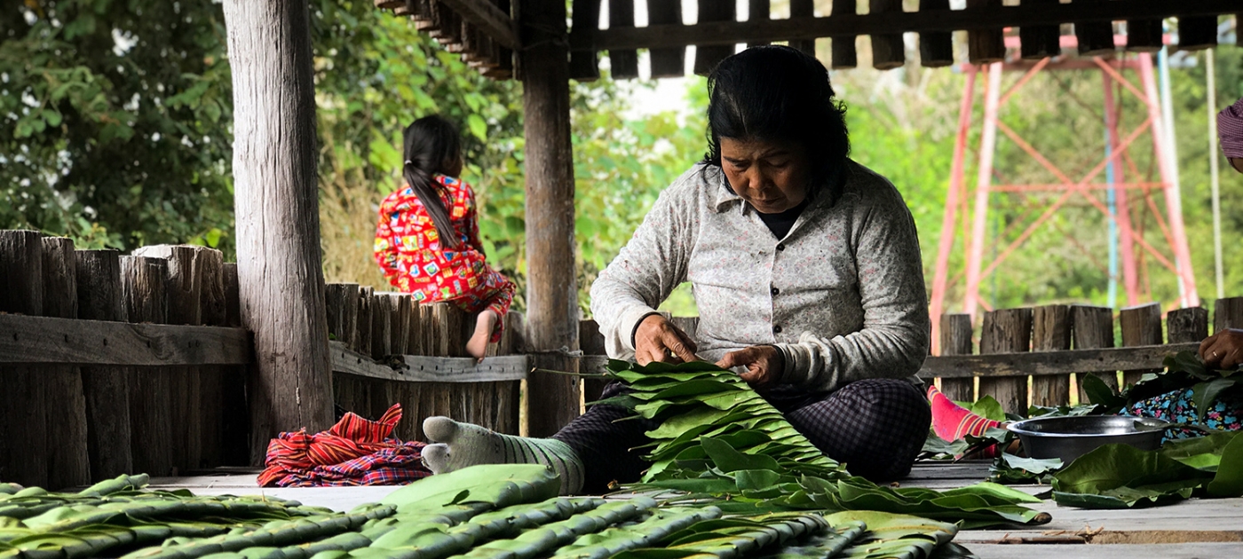 From rice to riches: adapting to climate change on Cambodia’s coasts UN Environment / Hannah McNeish