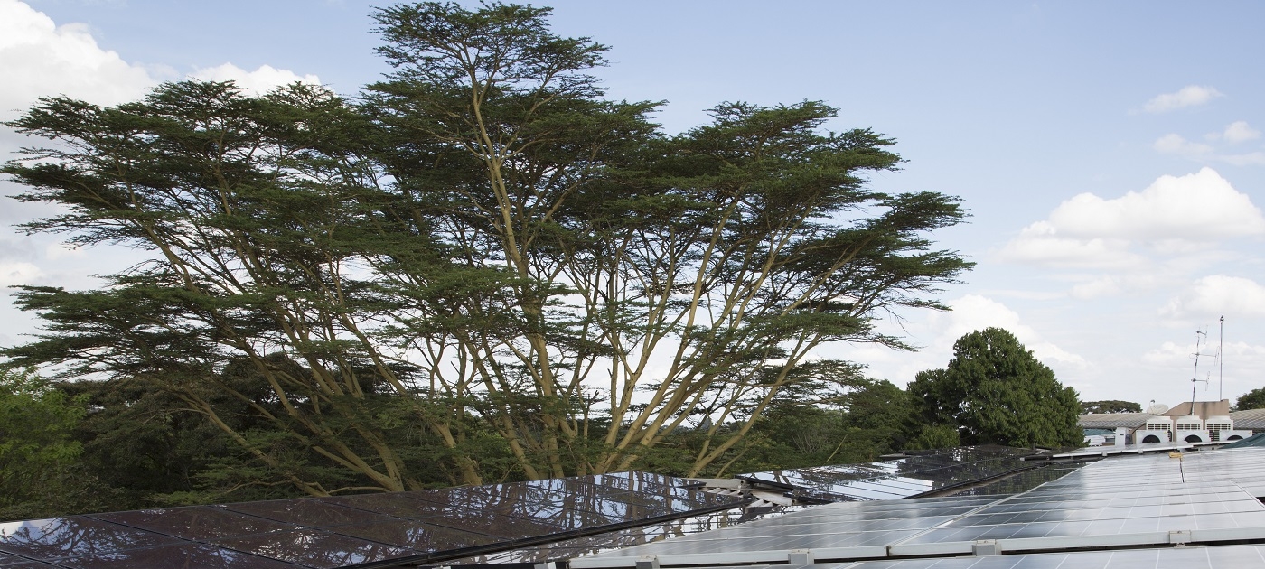 UN Environment “walks the talk” on carbon neutrality Photo by UN Environment