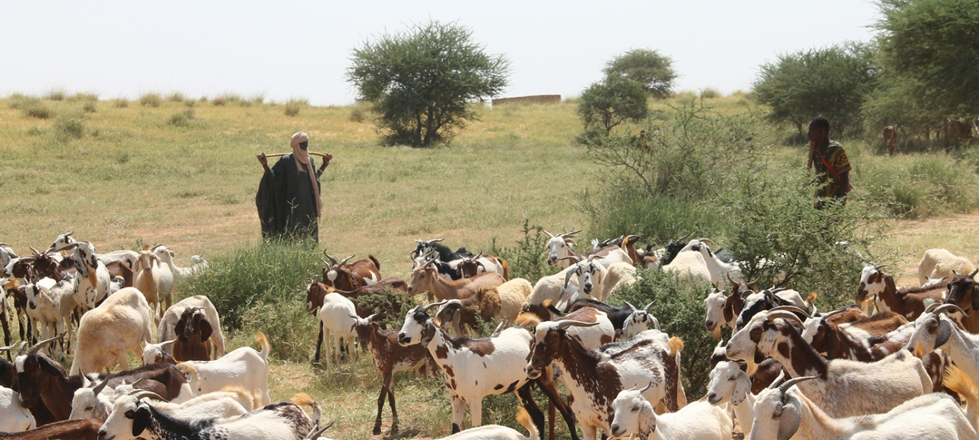 In the Sahel, pastoralists rely on satellites to search for water SNV