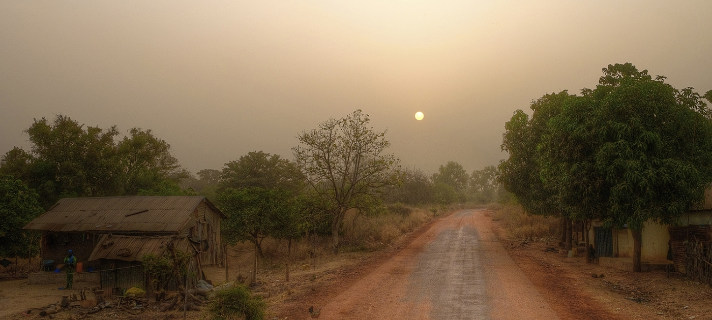 Helping Gambian youth find greener pastures at home Photo by Mariusz Kluzniak