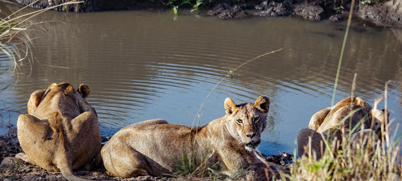 ‘Conservation is our way of life’ Photo by Duncan Moore/ UN Environment