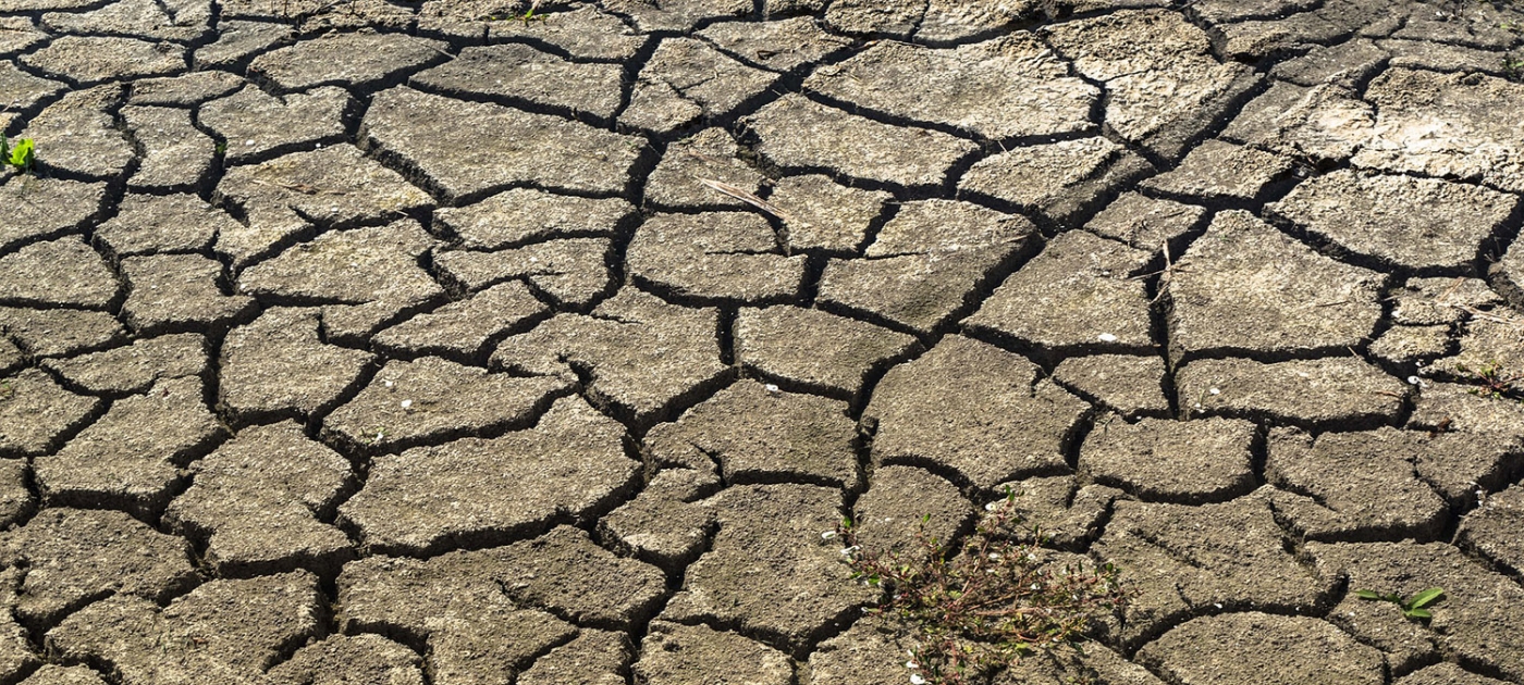 Drink salty water or go thirsty – Climate change hits Tanzanian school children Photo by Pixabay