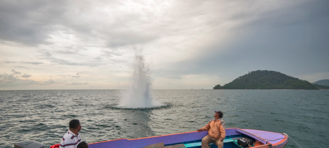 Stopping fish bombing Scubazoo