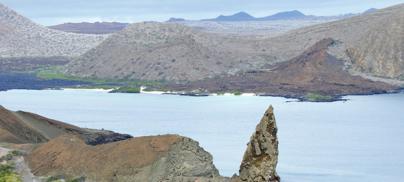 Surfing a wave of change: Clean Seas campaign celebrates two years of action