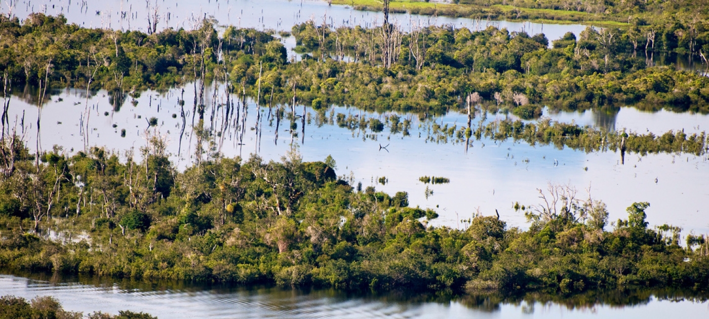 Wetlands for Our Future: Act Now to Prevent, Stop, and Reverse Wetland Loss wetlands