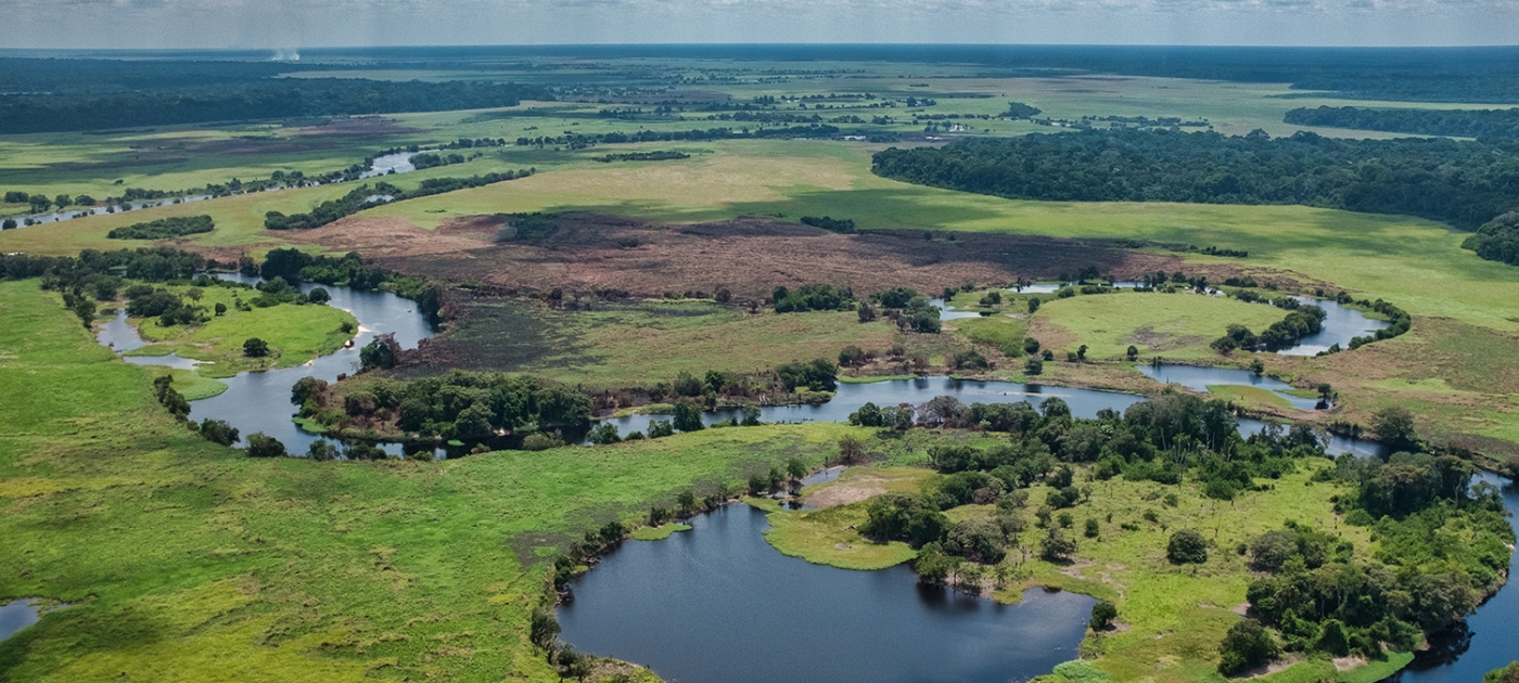 Vow to protect massive African peatland a huge win for planet Photo by Wildlife Conservation Society