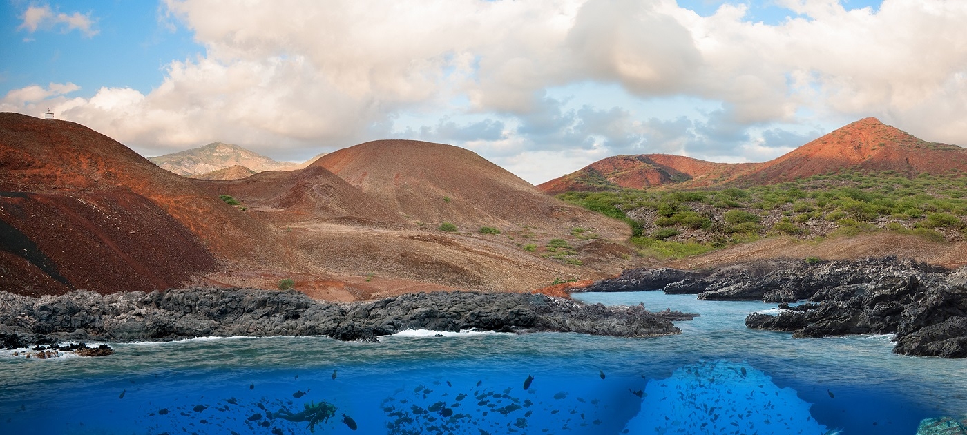 No fishing allowed in Ascension Island’s new marine protected area