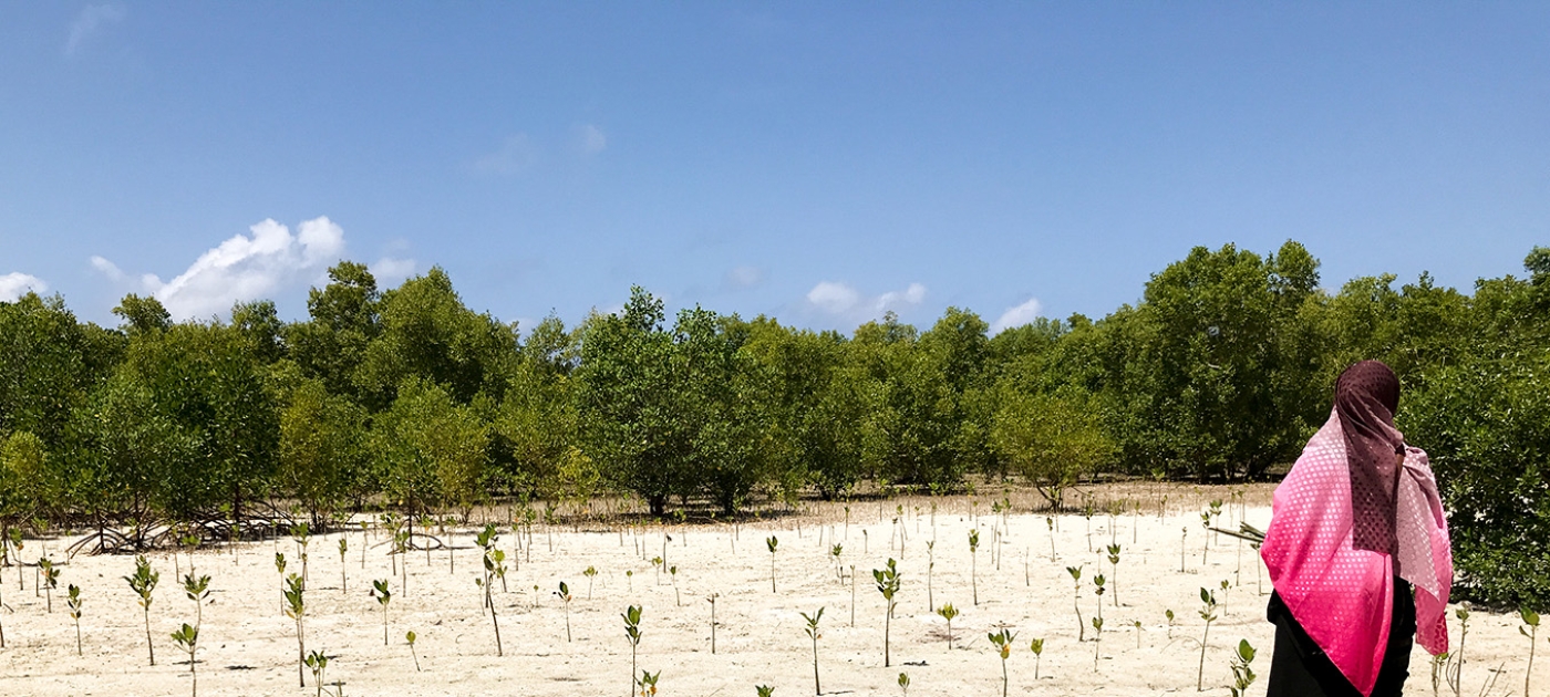 ‘Seawater is coming into our farms and killing the plants’