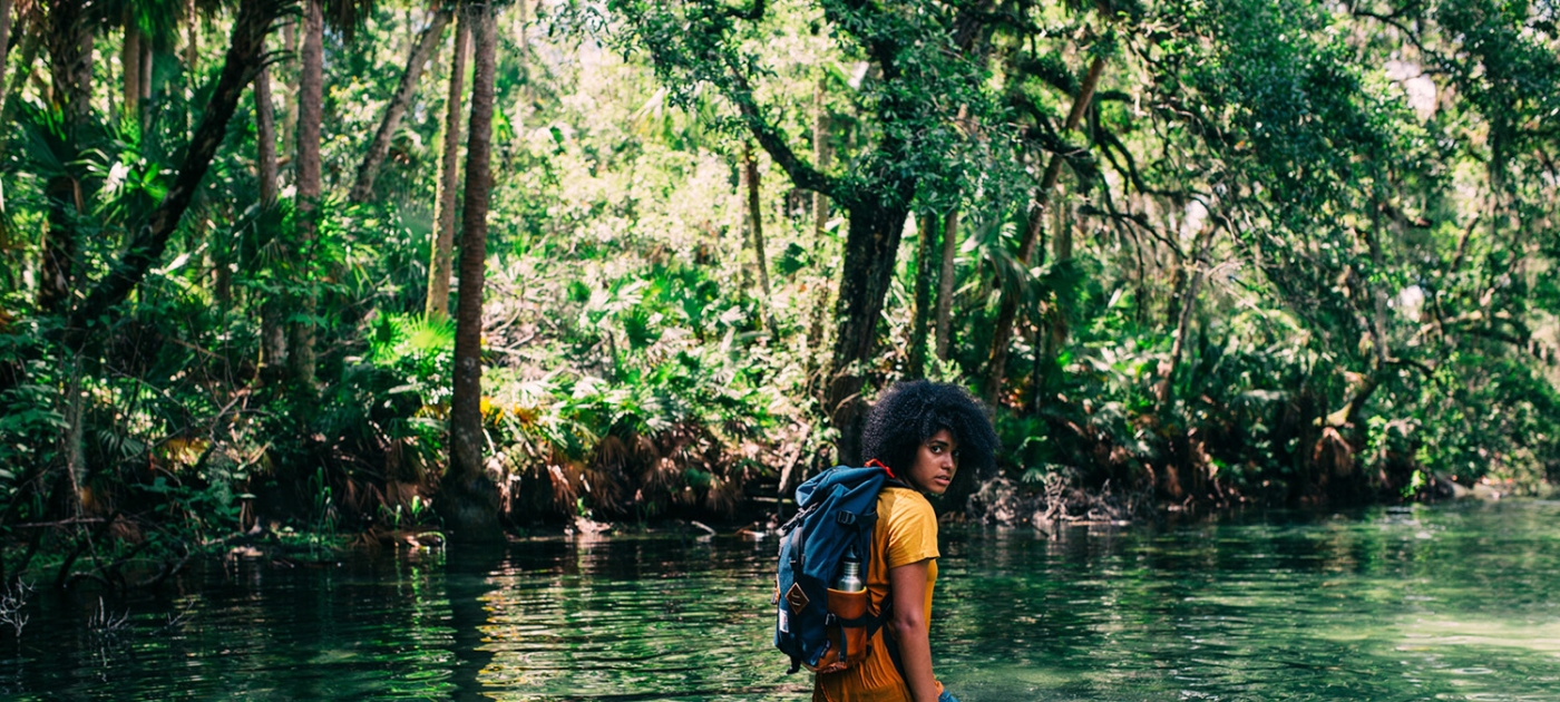 Championing the protection of our forests for future people Photo by Unsplash