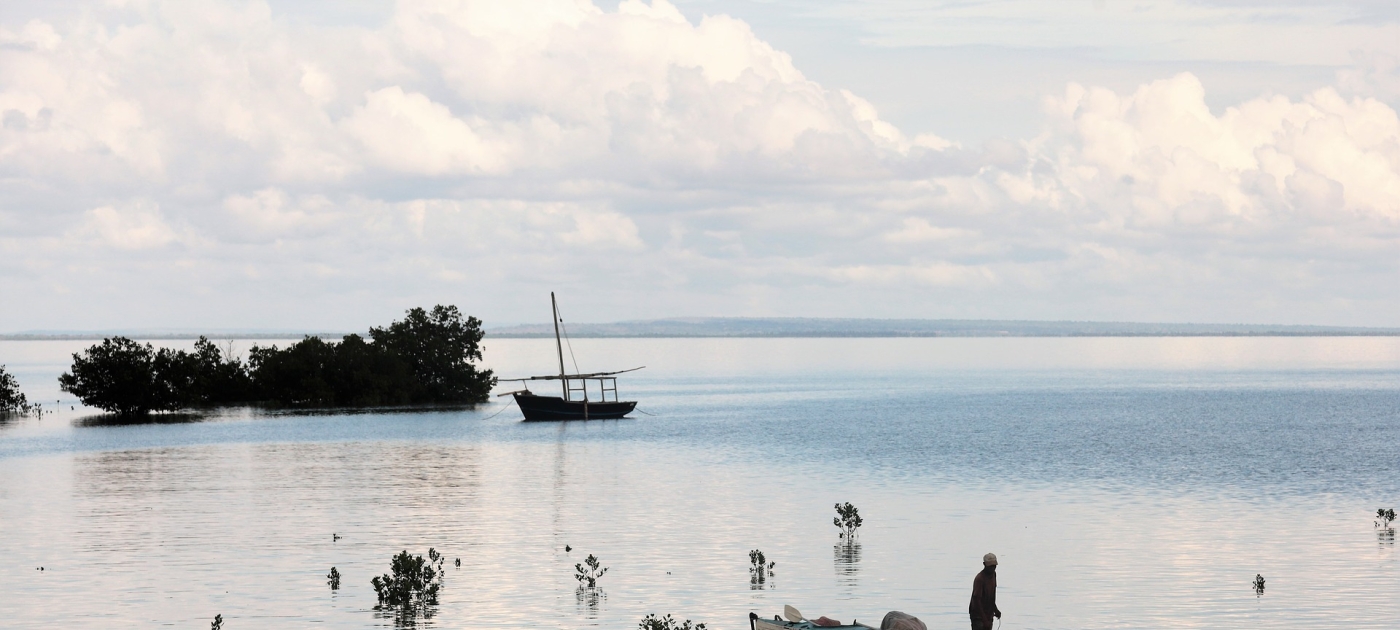 Protecting the environment in Mozambique’s emerging oil and gas sector Photo: Pixabay
